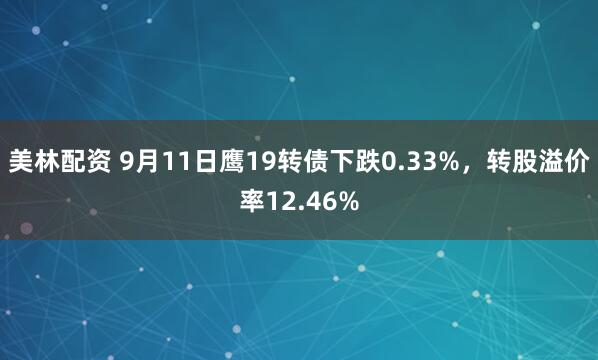 美林配资 9月11日鹰19转债下跌0.33%，转股溢价率12.46%