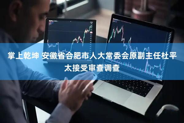 掌上乾坤 安徽省合肥市人大常委会原副主任杜平太接受审查调查