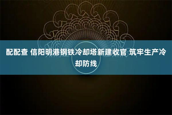 配配查 信阳明港钢铁冷却塔新建收官 筑牢生产冷却防线
