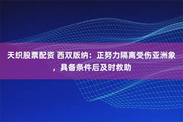 天织股票配资 西双版纳:正努力隔离受伤亚洲象,具备条件后及时救助